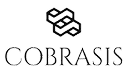 Cobrasis - Cliente Data Stone que usa plataforma de dados B2B para prospecção