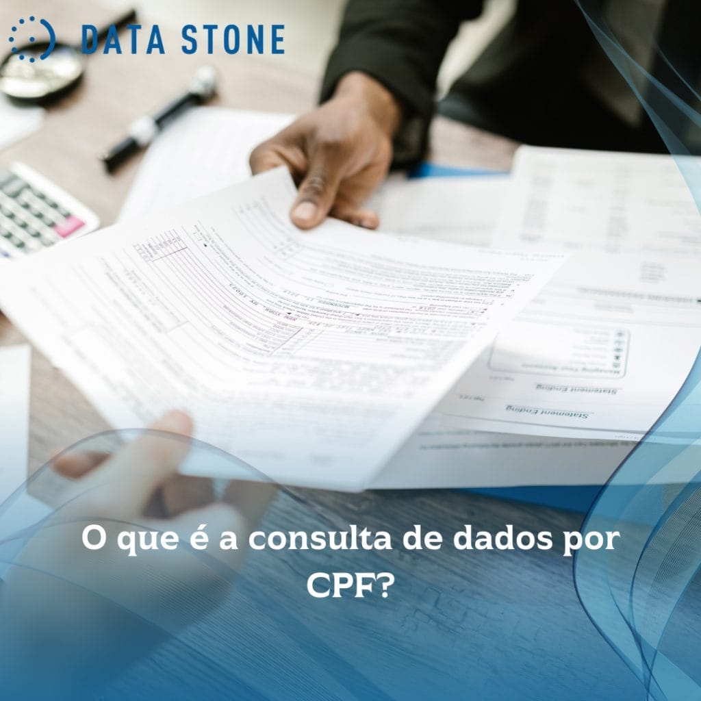 O que é a consulta de dados por CPF
