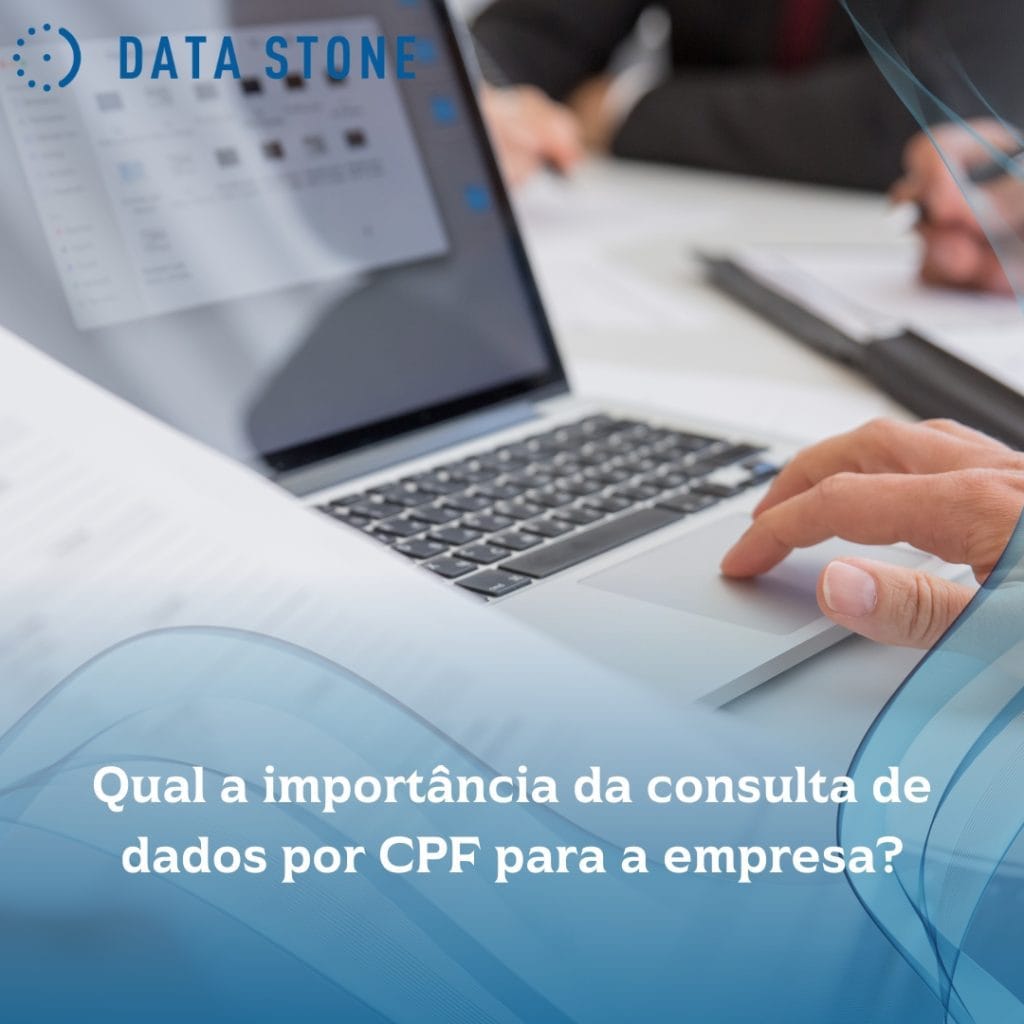 Qual a importância da consulta de dados por CPF para a empresa